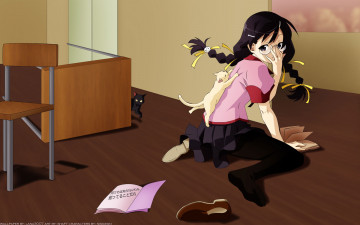 Картинка аниме bakemonogatari hanekawa+tsubasa девушка косички бант лента кошка животное комната форма ботинки тетрадь стол стул очки