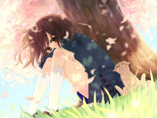 Картинка аниме *unknown другое