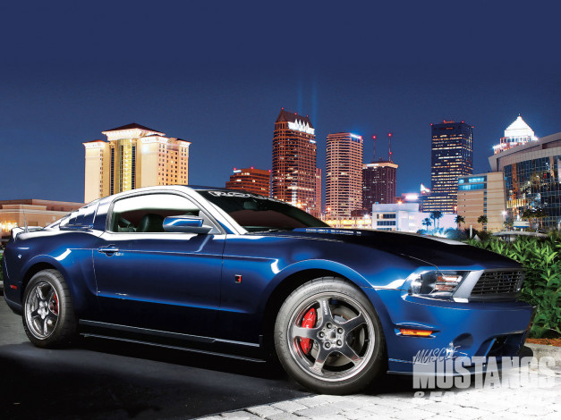 Обои картинки фото 2010, roush, stage, iii, mustang, автомобили