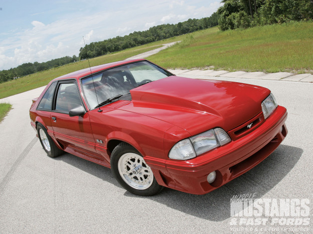 Обои картинки фото автомобили, mustang