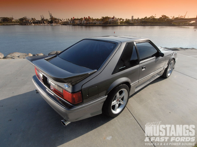 Обои картинки фото автомобили, mustang