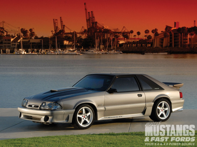 Обои картинки фото автомобили, mustang