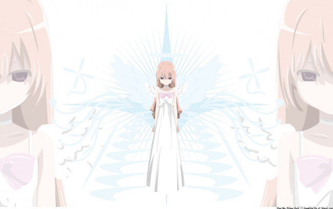 Обои картинки фото toradora, аниме