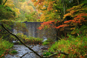 Картинка природа реки озера деревья река