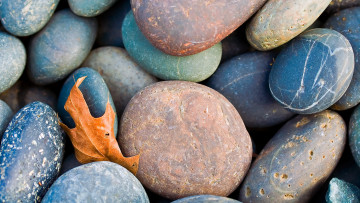 Картинка природа камни минералы галька лист