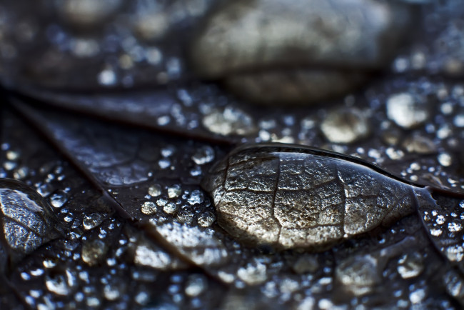 Обои картинки фото разное, капли, брызги, всплески, листок