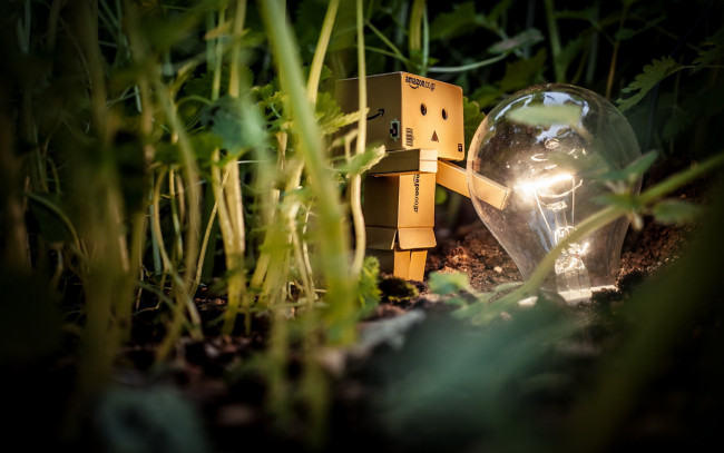 Обои картинки фото разное, данбо, danboard, amazon, коробка, лампочка