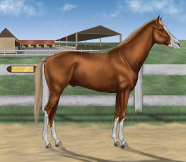 Картинка рисованные животные лошади лошадь