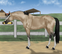 Картинка рисованные животные лошади лошадь