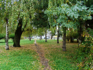 Картинка природа парк