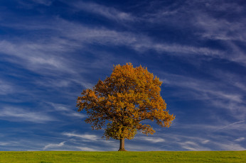 Картинка bavaria germany природа деревья небо германия бавария