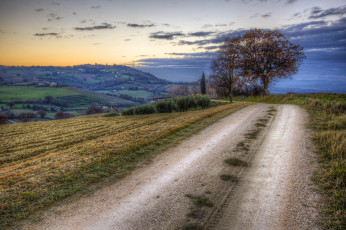 Картинка природа дороги трава дерево дорога поле