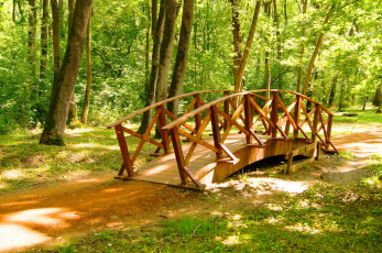 Картинка сербия обреновац природа парк мостик