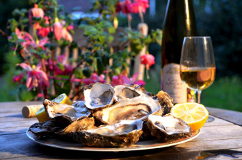 Картинка еда рыба морепродукты суши роллы бокал устрицы