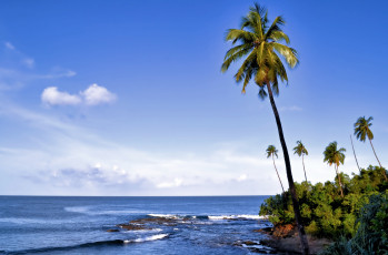 Картинка corbyn`s cove port blair south andaman island india природа тропики sea бухта корбина порт-блэр остров южный андаман индия андаманское море пальмы побережье