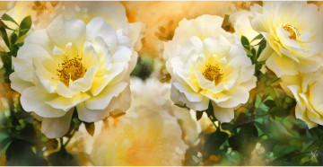 Картинка рисованные цветы шиповник