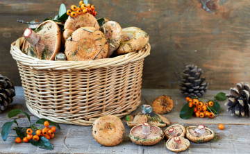 Картинка еда грибы грибные блюда грузди лукошко