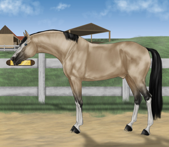 Обои картинки фото рисованные, животные, лошади, лошадь