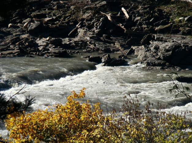 Обои картинки фото природа, реки, озера, вода, парк