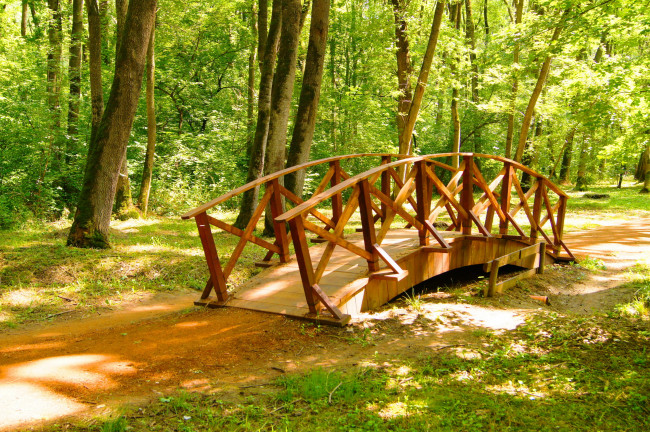 Обои картинки фото сербия, обреновац, природа, парк, мостик