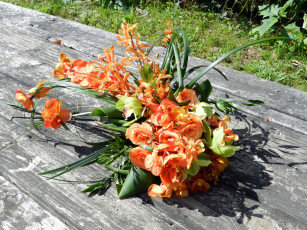 Картинка цветы букеты +композиции розы букет орхидеи