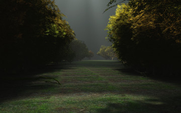 Картинка 3д+графика природа+ nature деревья