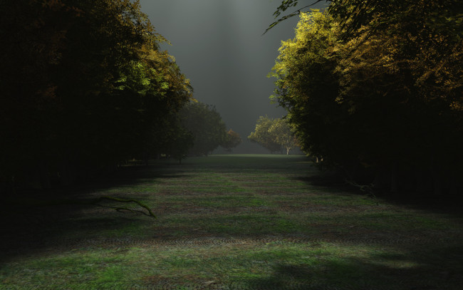 Обои картинки фото 3д графика, природа , nature, деревья