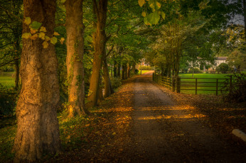 Картинка природа дороги тракт