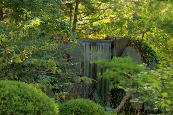 Картинка природа водопады река водопад лес