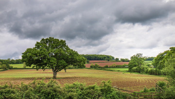 Картинка природа пейзажи простор