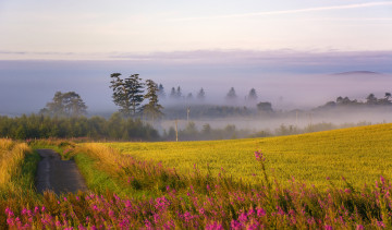 Картинка природа дороги тракт