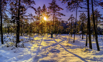 Картинка природа зима снег