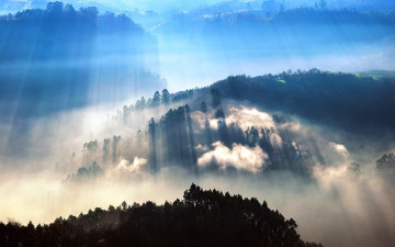 Картинка природа реки озера лучи свет лес деревья горы