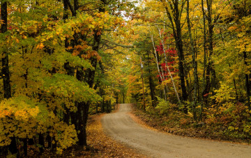 Картинка природа дороги тракт