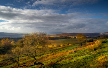 Картинка природа пейзажи простор