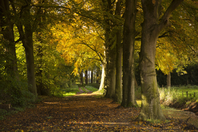 Обои картинки фото природа, дороги, тракт