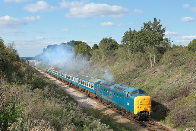 Обои картинки фото техника, поезда, состав, рельсы, локомотив