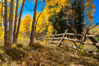 Картинка природа пейзажи простор