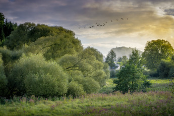 Картинка природа пейзажи простор