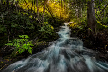 Картинка природа реки озера простор