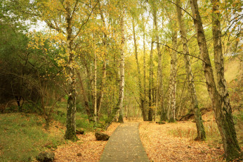 Картинка природа дороги простор