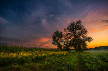 Картинка природа пейзажи простор