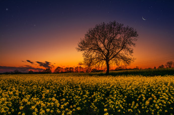 Картинка природа восходы закаты простор