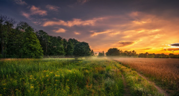 Картинка природа пейзажи простор