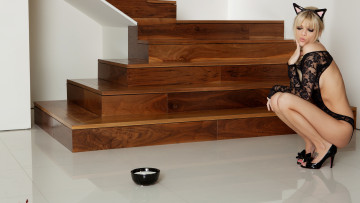 Картинка девушки jana+jordan+ jana+foxy фон взгляд девушка коса ошейник туфли тату ушки jana jordan блондинка грудь ножки боди