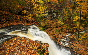 Картинка природа реки озера простор