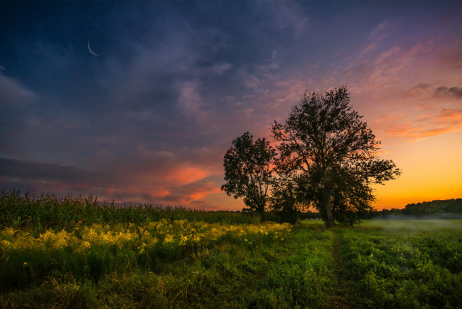 Обои картинки фото природа, пейзажи, простор