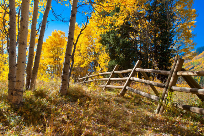 Обои картинки фото природа, пейзажи, простор