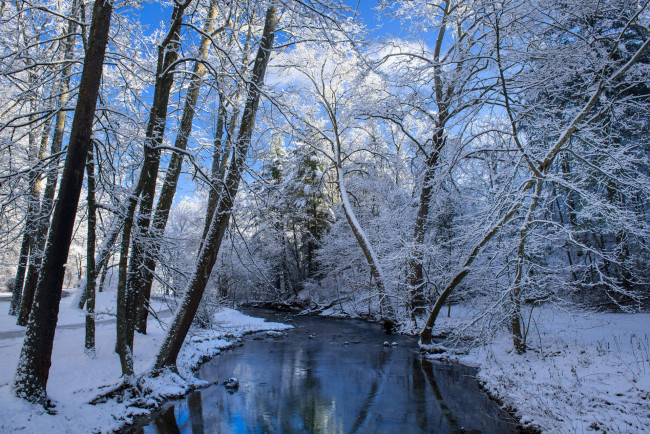 Обои картинки фото природа, зима, простор