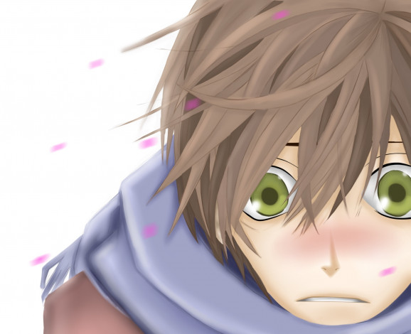 Обои картинки фото аниме, sekai ichi hatsukoi, sekaiichi, hatsukoi